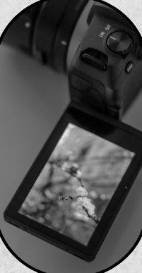 Fotoğraf makinesi ekranı